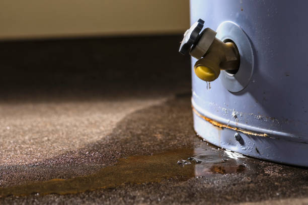 Best Water damage restoration near me  in Pion Hills, CA