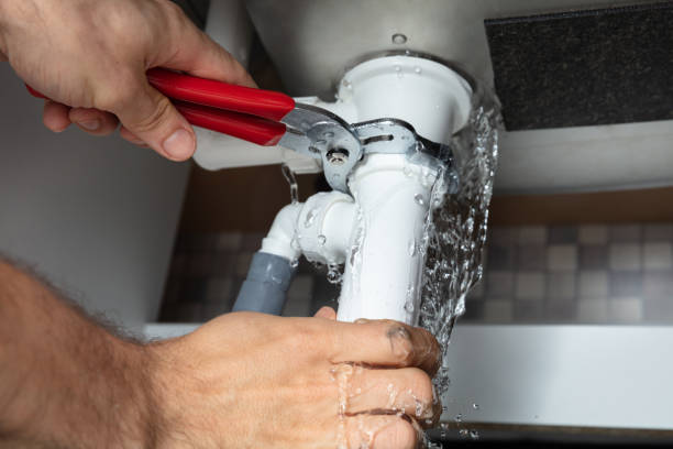 Best Carpet water damage restoration  in Pion Hills, CA