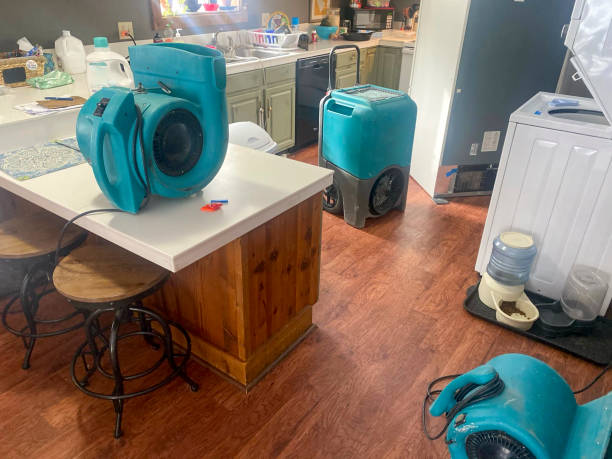 Best Flood damage cleanup  in Pion Hills, CA