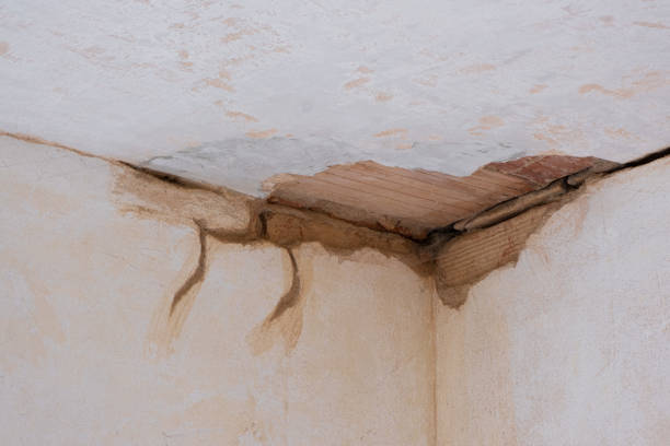 Best Professional water damage repair  in Pion Hills, CA