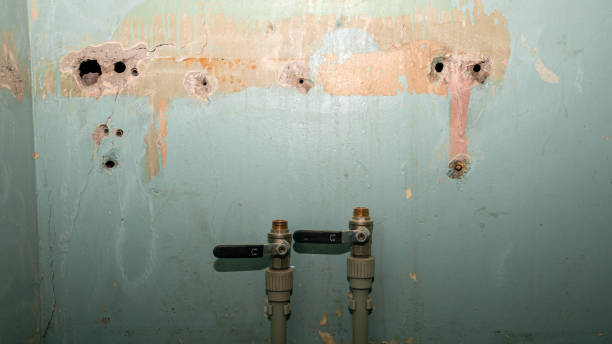 Best Water damage restoration specialists  in Pion Hills, CA