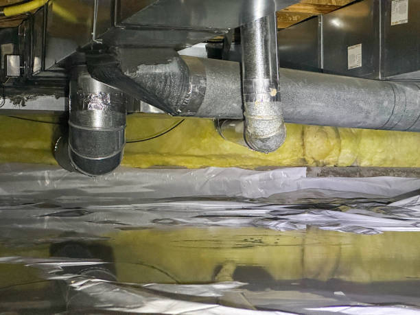 Best Basement water damage restoration  in Pion Hills, CA